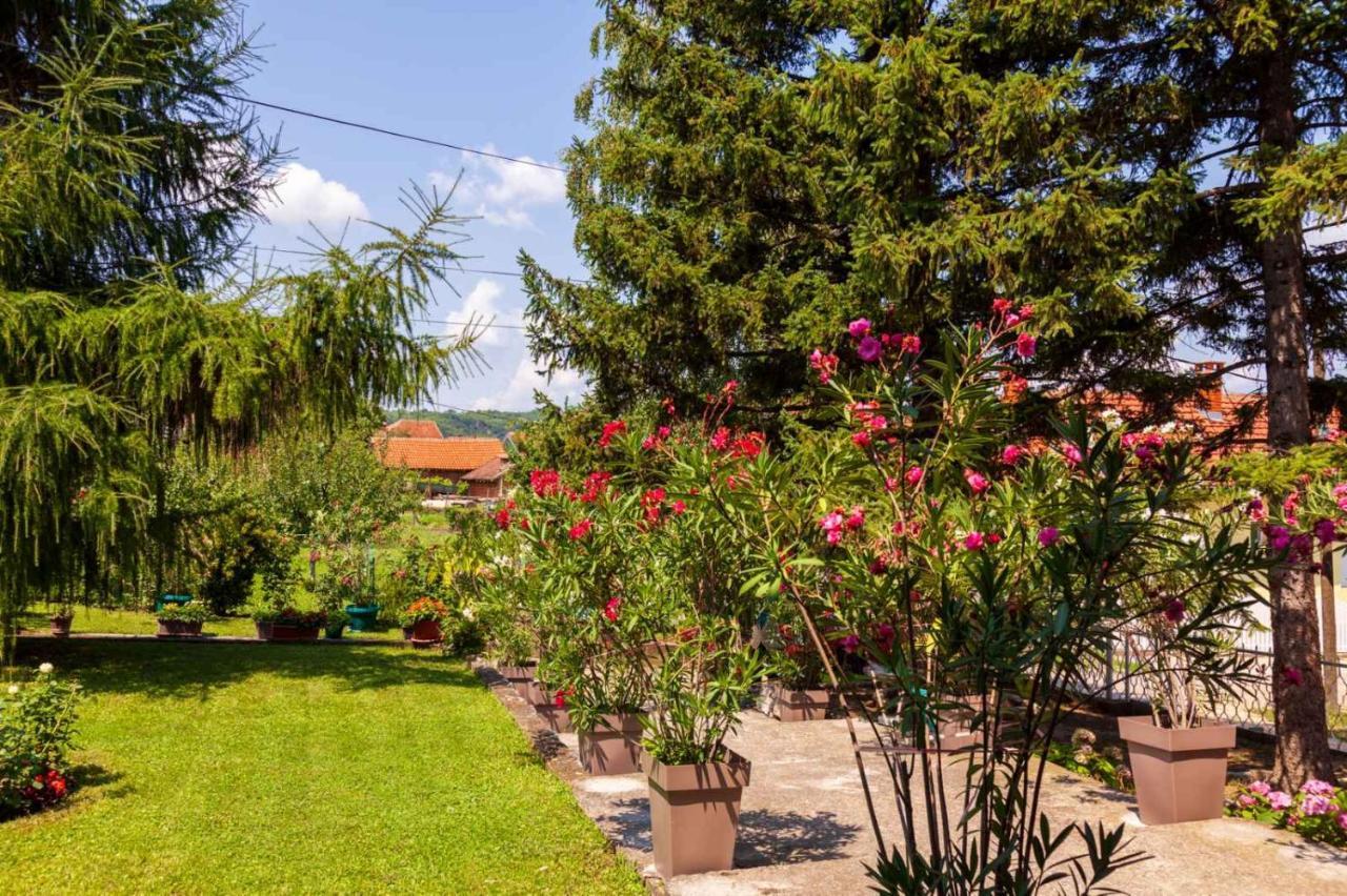 Studio 2 Golubac Exterior photo