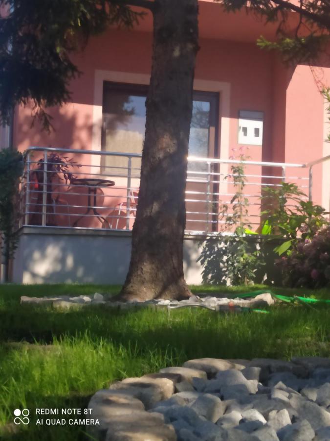 Studio 2 Golubac Exterior photo